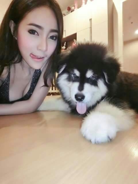 ㅊ해엪햧해ㅔㅜㅊ혀