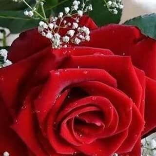 Aymanasdfghjkl111 Aymanasdfghj