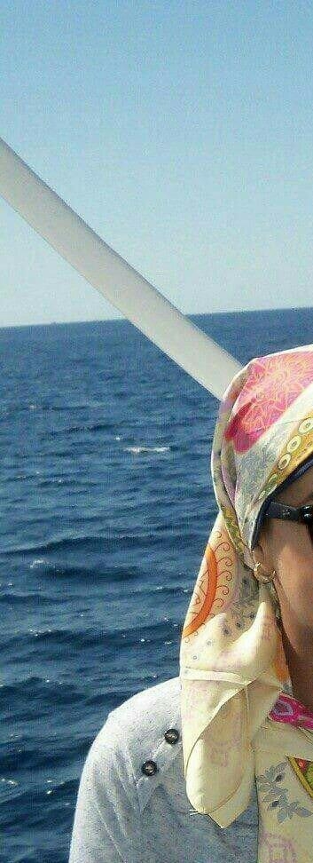 Seham Mohamad Mohamad