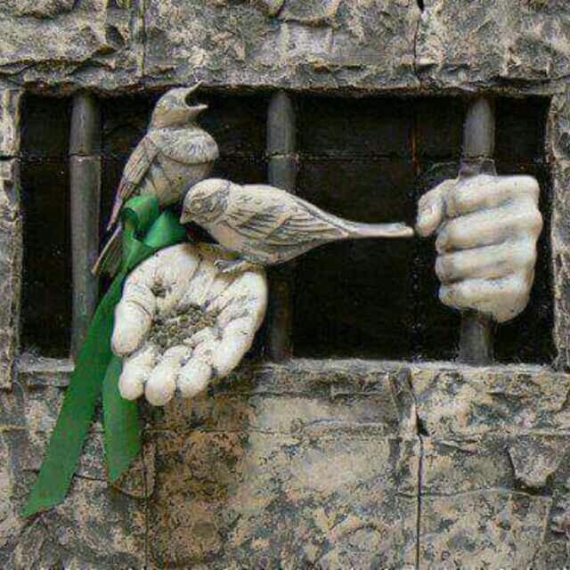 ناريمان سمير