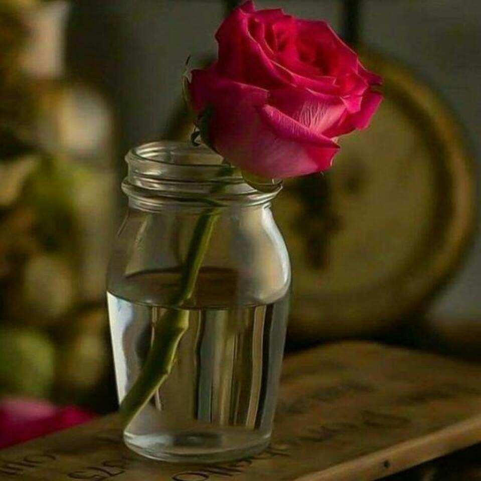 mohamedo308942_Single_Waplog