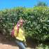 mpupim's image