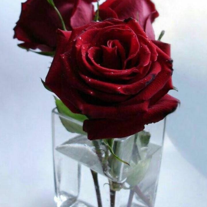 abuali183 | Waplog | photo