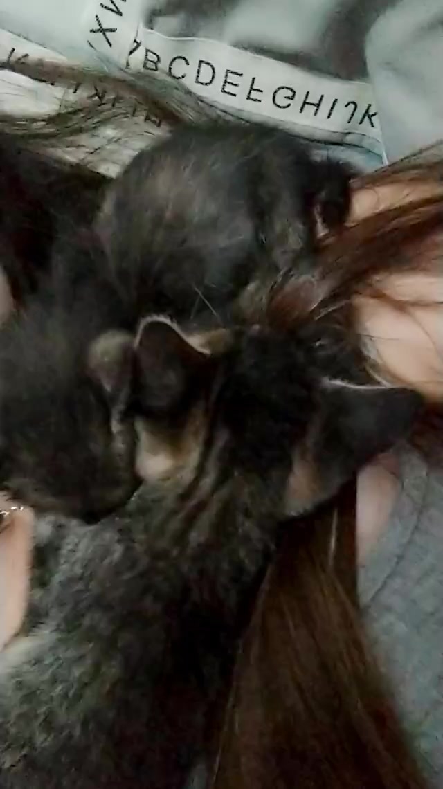 chat-with-girls-online