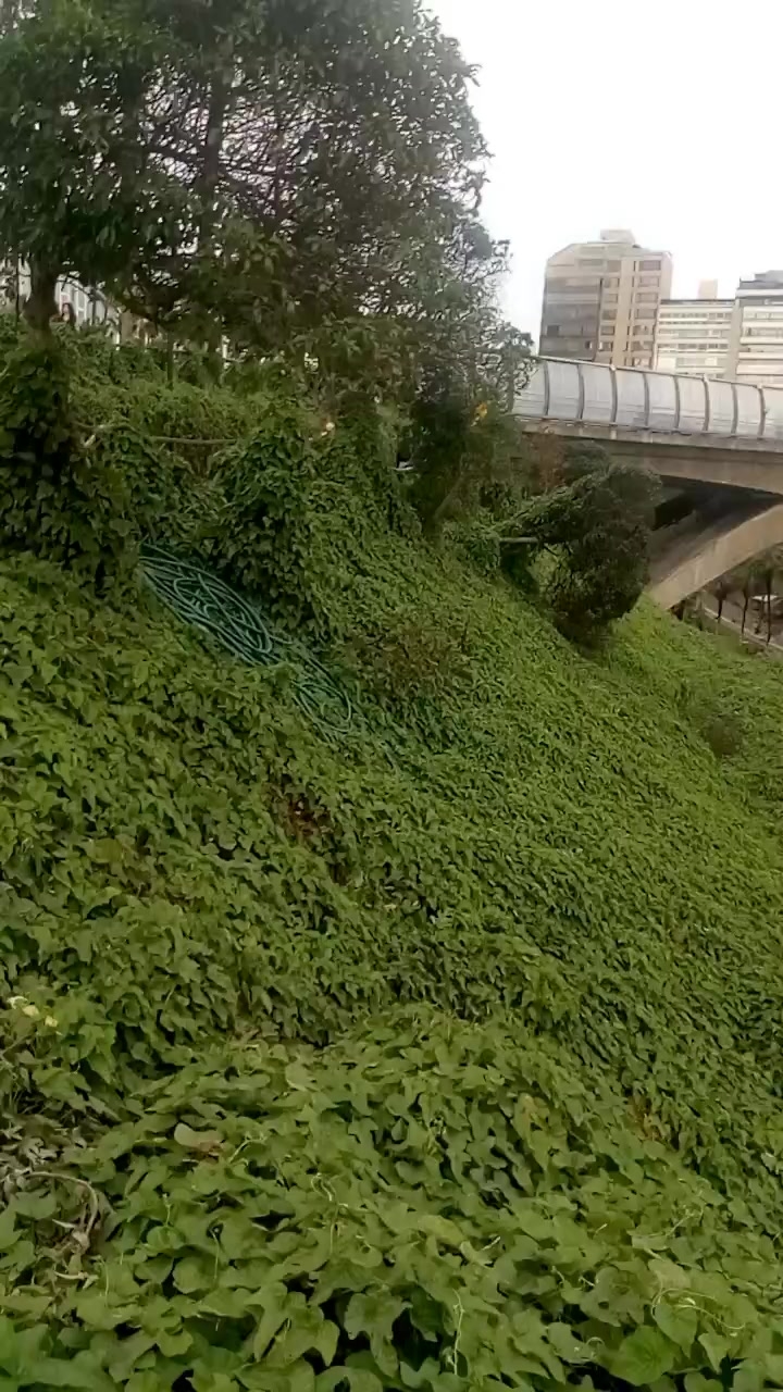 chat-with-local-girls