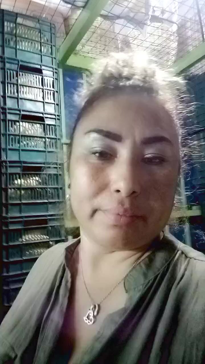 chat-with-single-girls