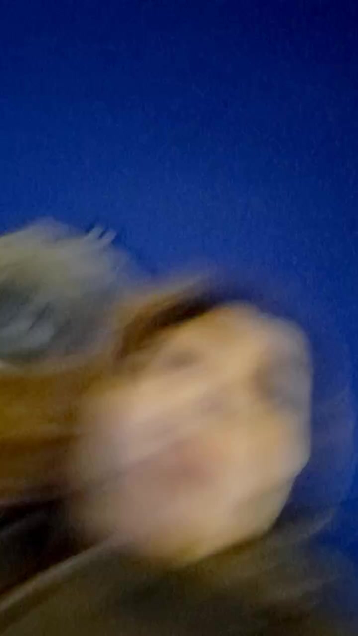 find-a-partner-nearby-online-for-free