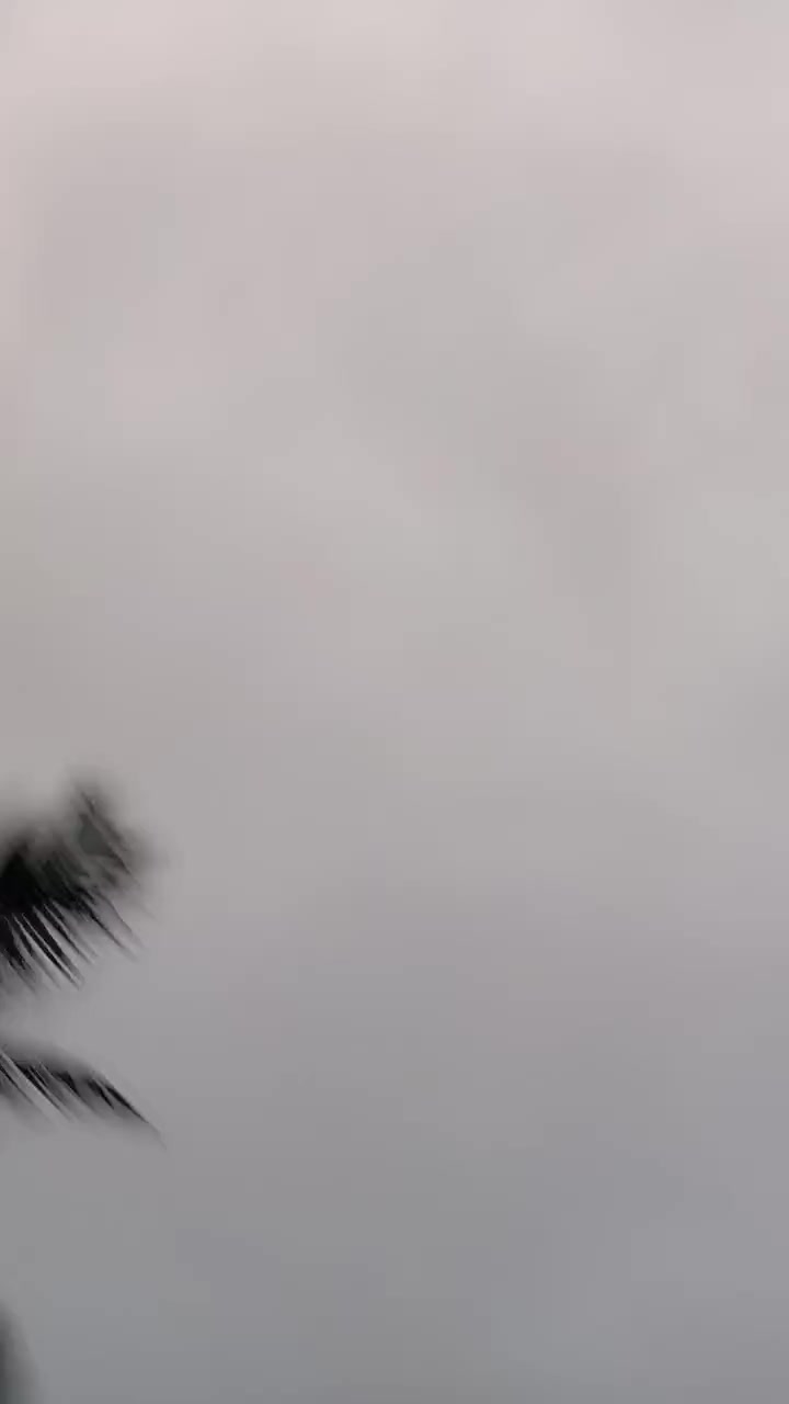 chat-with-single-guys