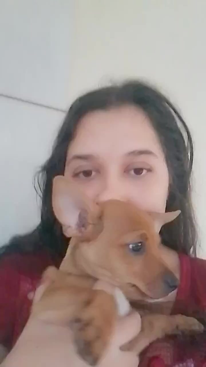 find-a-soulmate-online