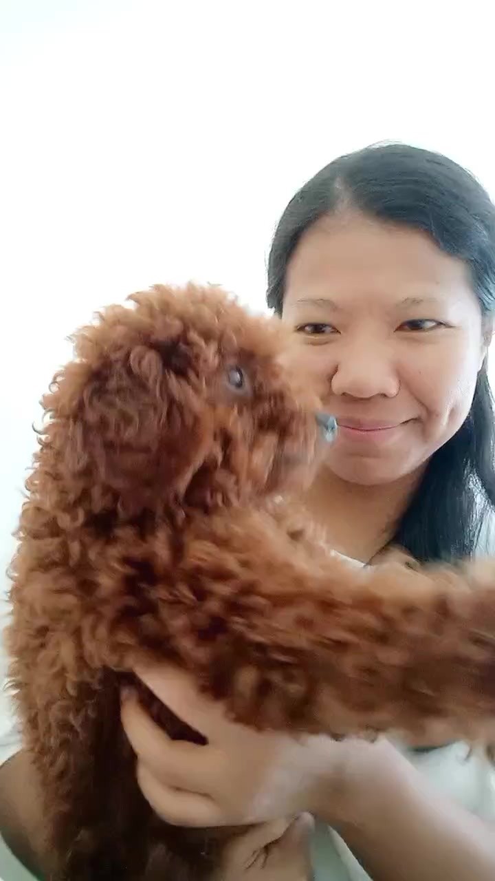 flirt-with-single-men-near-you